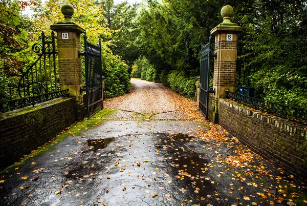 Road through park — Stock Photo, Image