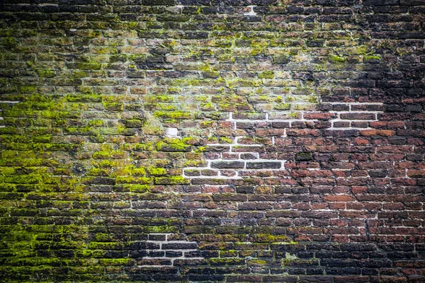 Muro di mattoni ricoperto di muschio — Foto Stock