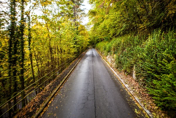 Midden van een weg in Luxemburg — Stockfoto