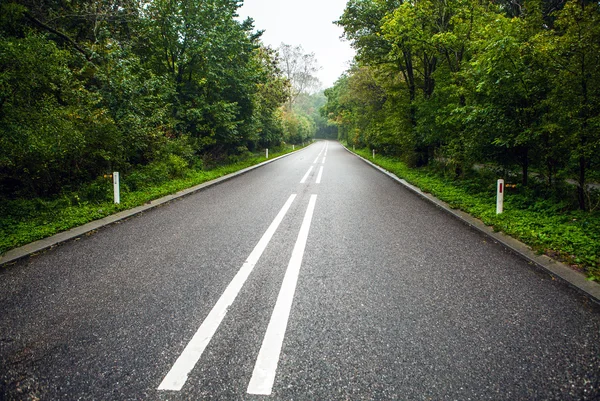 Boş asfalt yol — Stok fotoğraf