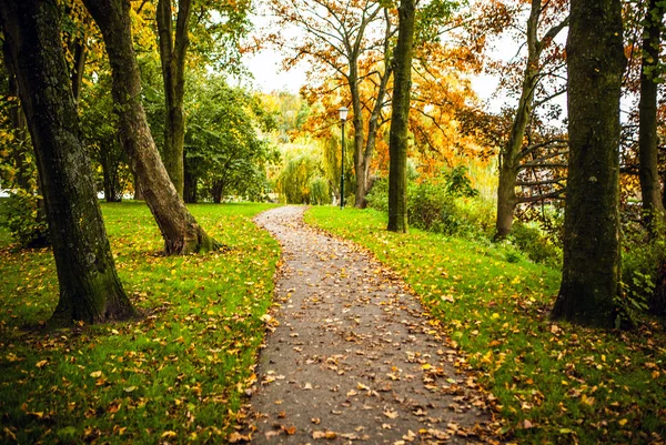 秋天公园的路 — 图库照片