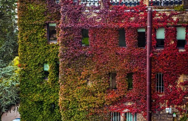 View of autumn park of Luxembourg — Stock Photo, Image