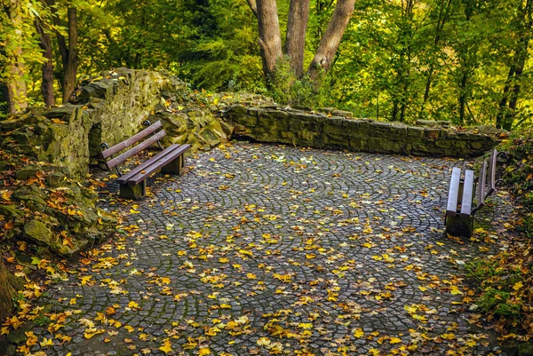 Camino de piedra Camino de la pasarela en Luxemburgo — Foto de Stock