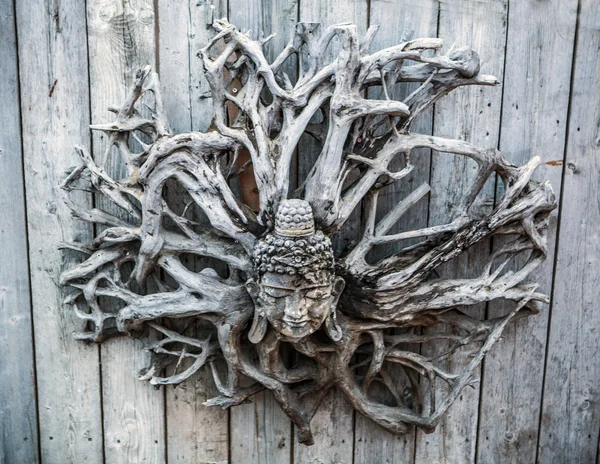 Tête de Bouddha sur les racines séchées des arbres — Photo