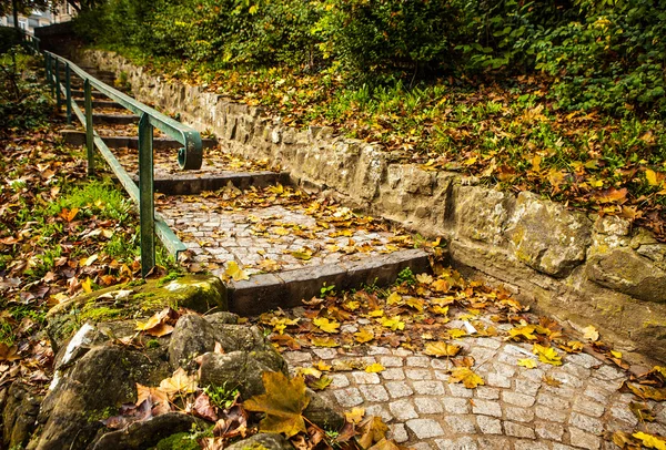 Camino de piedra Camino de la pasarela en Luxemburgo — Foto de Stock