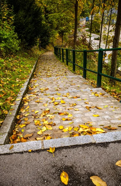Camino de piedra Camino de la pasarela en Luxemburgo — Foto de Stock
