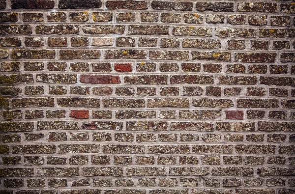 Pared de piedra como fondo. — Foto de Stock