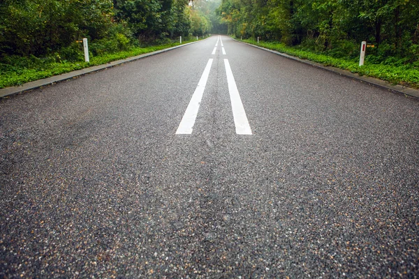 Boş asfalt yol — Stok fotoğraf
