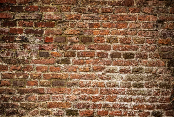 Alte alte Ziegelmauer — Stockfoto