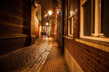 Amsterdam şehir manzaraları gece. Şehir peyzaj genel görünüm.
