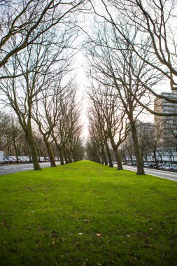 Güzel bir şehir parkı öğeleri yakın çekim.