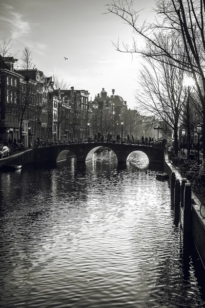 NETHERLANDS, AMSTERDAM - JANUARY 15, 2016: Bridge on river channel in January. Amsterdam - Netherlands. — Stockfoto