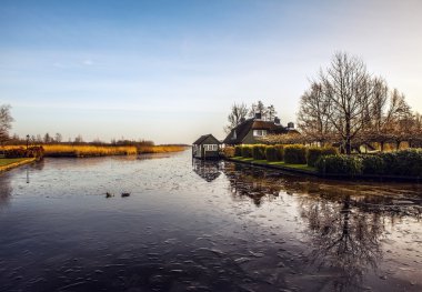 Giethoorn, Hollanda thatched çatı ile eski rahat ev.