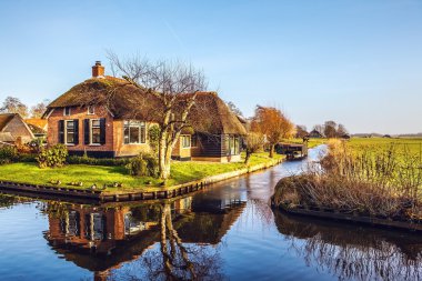 Giethoorn, Hollanda thatched çatı ile eski rahat ev.