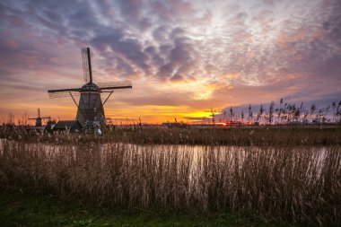 Hollanda, Kinderdijk 'te gün batımında yel değirmenleri ve su kanalları.