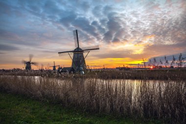 Hollanda, Kinderdijk 'te gün batımında yel değirmenleri ve su kanalları.