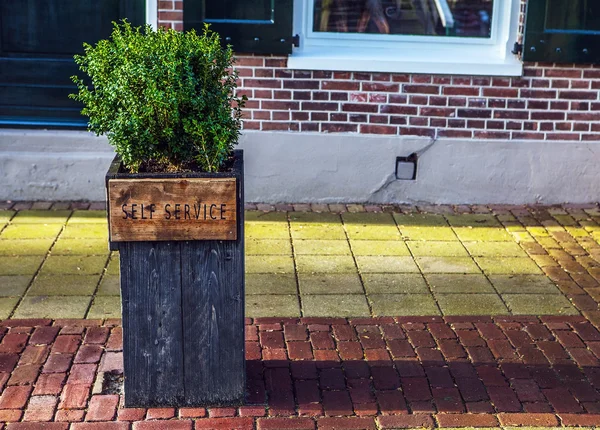 Díszítő elem park tervezés Giethoorn, Hollandia. — Stock Fotó