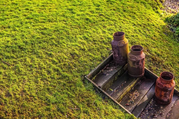 Decorative element of park design in Giethoorn, Netherlands. — Stock Photo, Image