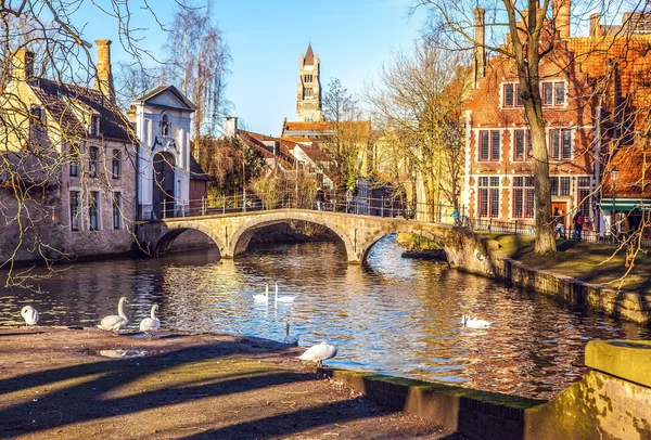 Minnewater landschap met zwanen op avond in Brugge. — Stockfoto