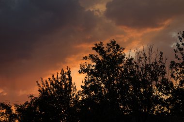 SunRice bulutlar Yunanistan