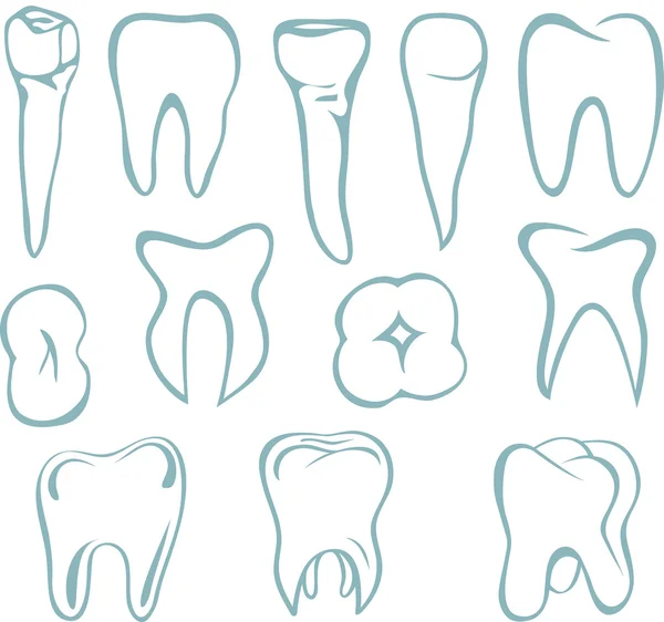 Denti umani — Vettoriale Stock