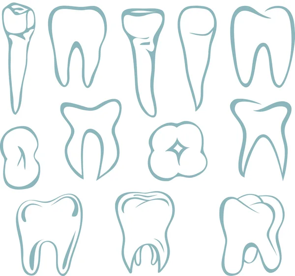 Dientes humanos — Vector de stock