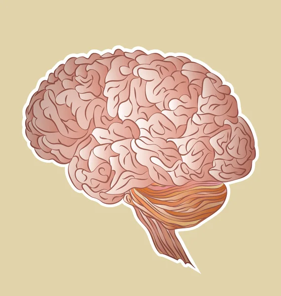 Cerebro humano. Icono plano único. Vista lateral — Vector de stock