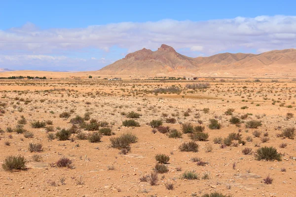 Vale Árido em Marrocos — Fotografia de Stock