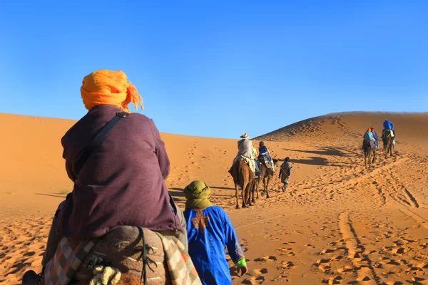 Riding camels in the Sahara desert — Stock Photo, Image