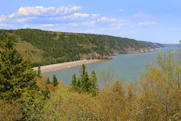 Veduta di Melvin Beach sul Fundy trail — Foto Stock