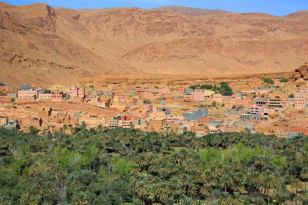 Oasis de pueblo marroquí —  Fotos de Stock