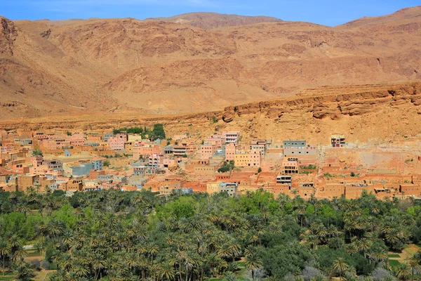 Fas Köyü oasis — Stok fotoğraf