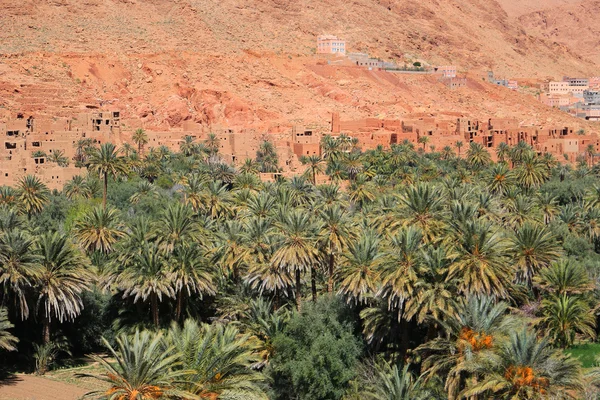 Oásis da aldeia marroquina — Fotografia de Stock