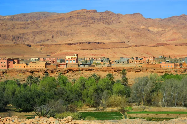 Oasis de pueblo marroquí — Foto de Stock