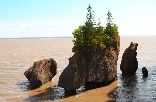 Hopewell Rocks in late afternoon — Stock Photo, Image