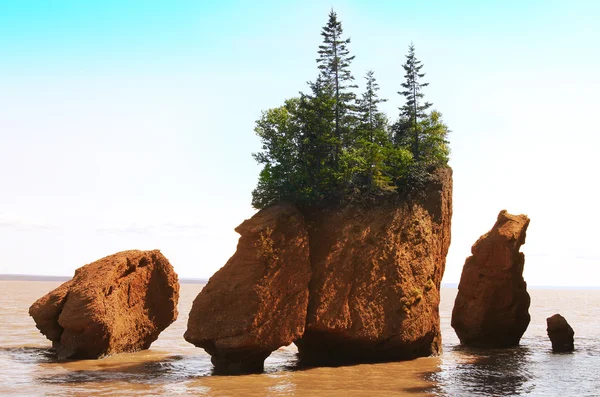 Hopewell Rocks, New Brunswick, Canadá — Fotografia de Stock