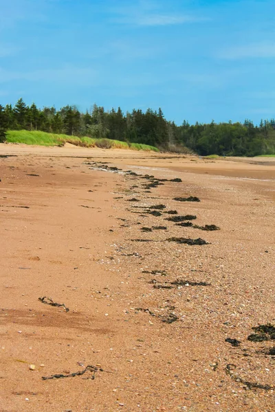 カナダのニューブランズウィック州のFundy湾の干潮時の砂浜 — ストック写真