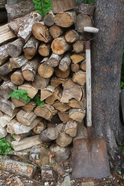 Firewood Chopped Shovel Leaning Tree Rural Setting — Stock Photo, Image