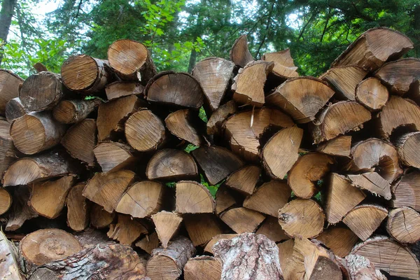 Close Chopped Logs Used Firewood Fall Winter Seasons — Stock Photo, Image