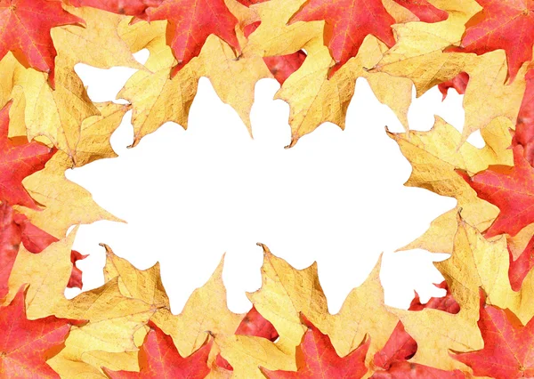 Herfst bladeren grens — Stockfoto
