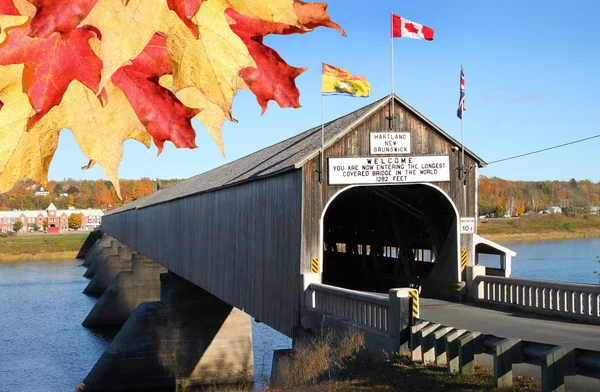 Деревянный мост Хартланда с листьями — стоковое фото