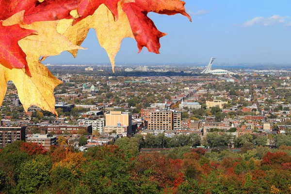 Монреаль Квебек з Олімпійським стадіоном на осінній — стокове фото