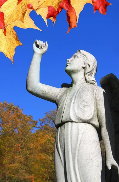 Angel statue in cemetary with raised arm and leaves — Stock Photo, Image