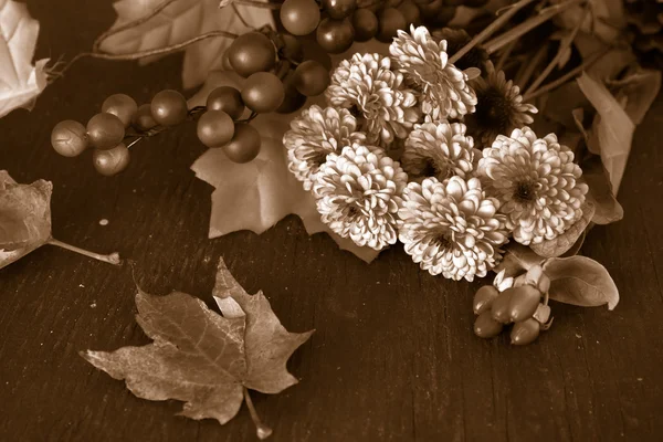 Fall flowers in sepia — Stock Photo, Image