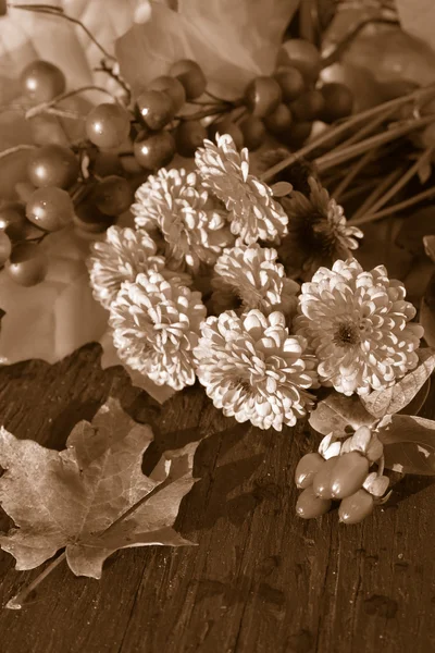 Fall flowers in sepia tone — Stock Photo, Image
