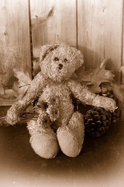 Rustic sepia toned teddy bear — Stock Photo, Image