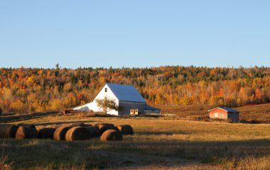 Fall farmland clipart