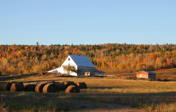 Fall farmland — Stock Photo, Image