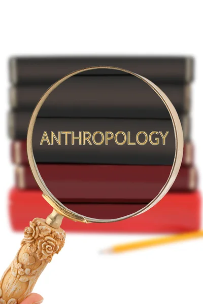 Looking in on University education - Anthropology — Stock Photo, Image