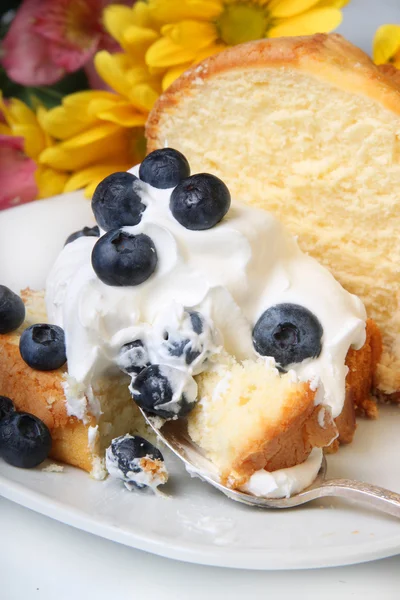 Blueberry Shortcake — Stockfoto